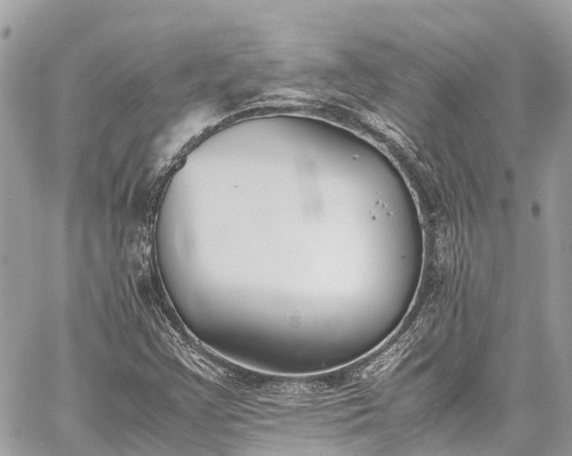 X0000059831355200510241410