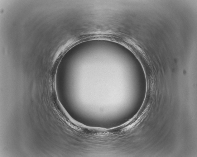 X0000059831357200510241410