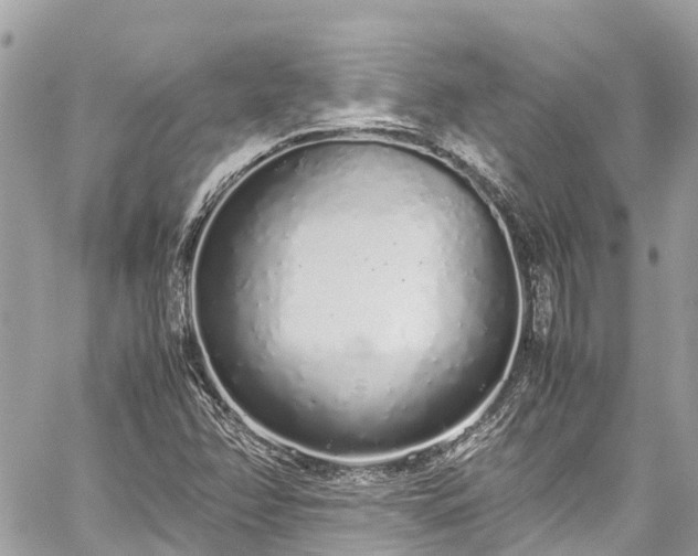 X0000059831358200510241410