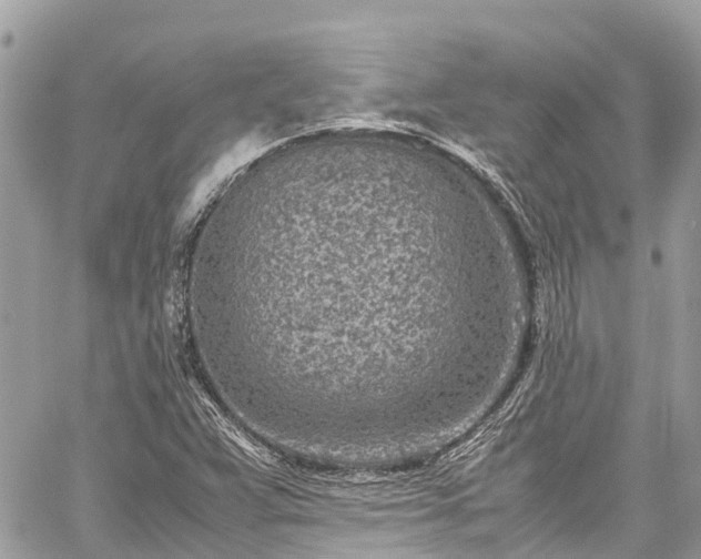 X0000059831359200510241410