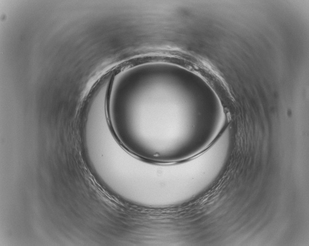 X0000059831360200510241410