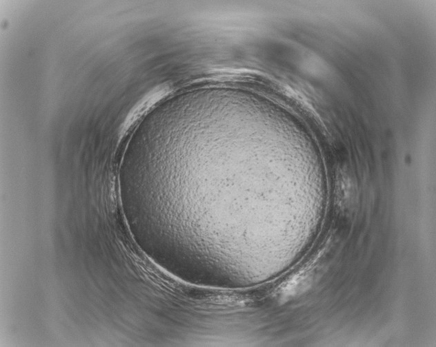 X0000059831362200510241410