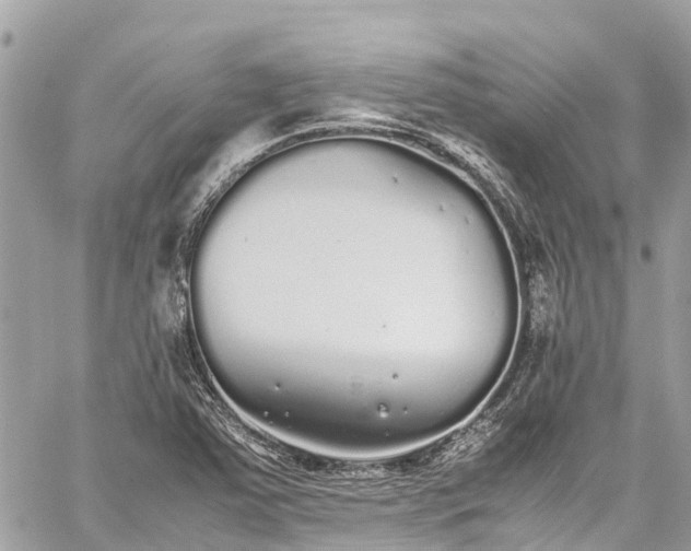 X0000059831363200510241410