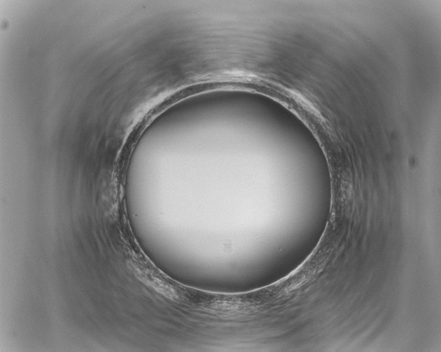 X0000059831364200510241410