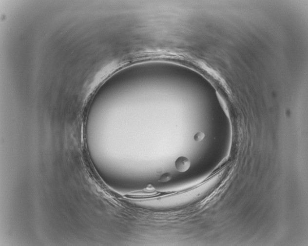 X0000059831365200510241410