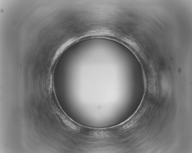 X0000059831366200510241410