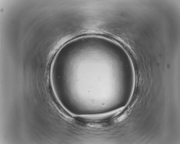 X0000059831367200510241410