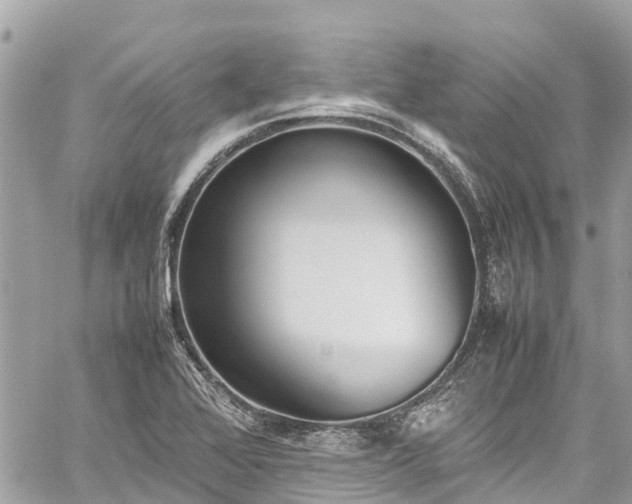 X0000059831368200510241410