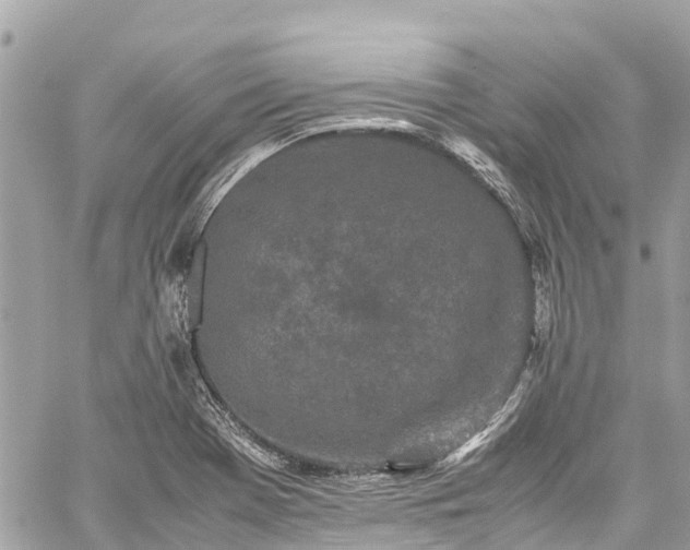 X0000059831369200510241410