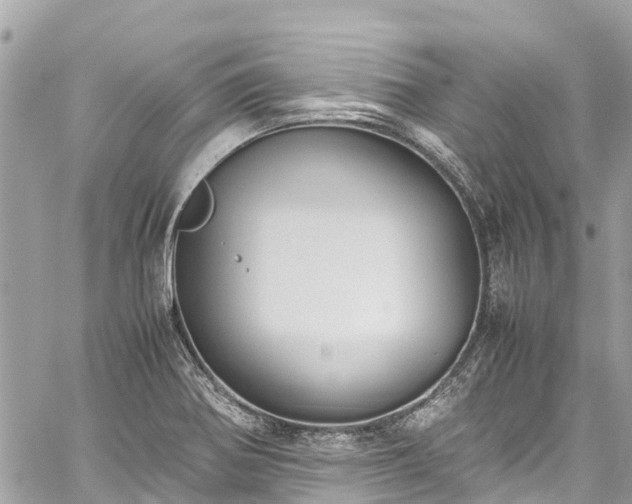 X0000059831370200510241410