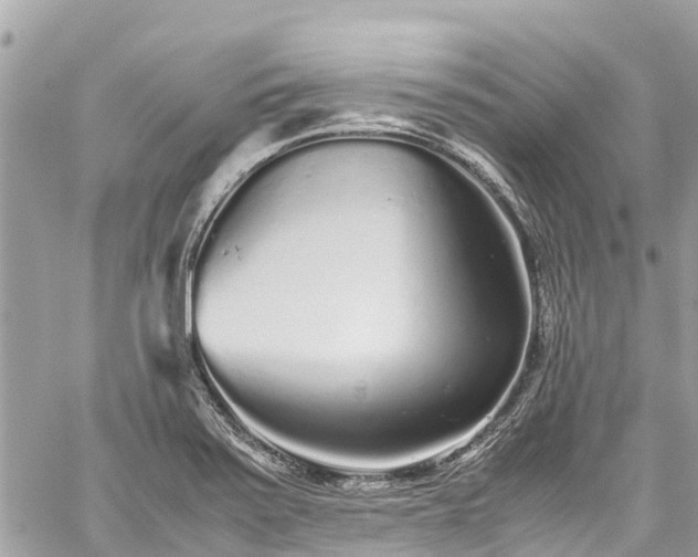 X0000059831371200510241410