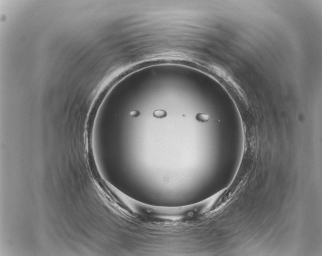 X0000059831372200510241410