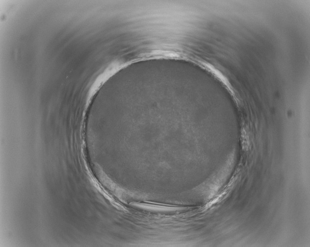 X0000059831373200510241410