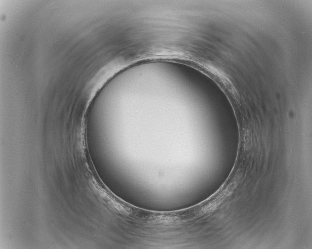 X0000059831374200510241410