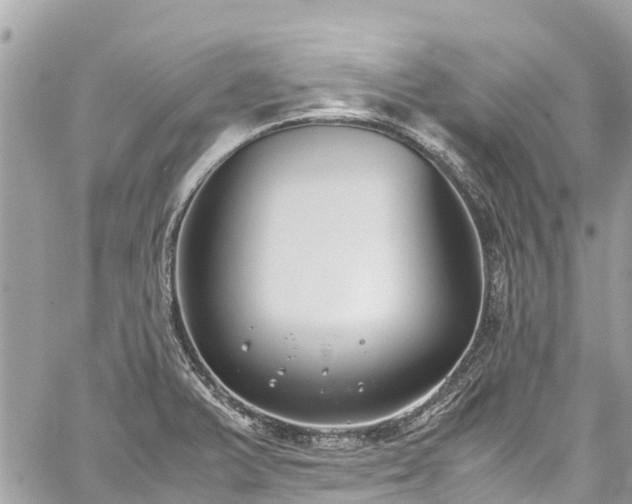 X0000059831375200510241410