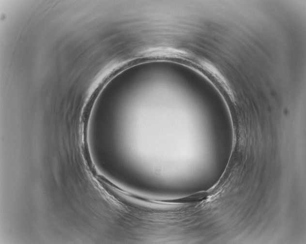 X0000059831376200510241410