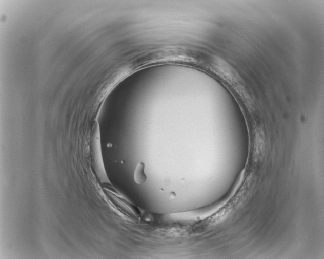 X0000059831377200510241410