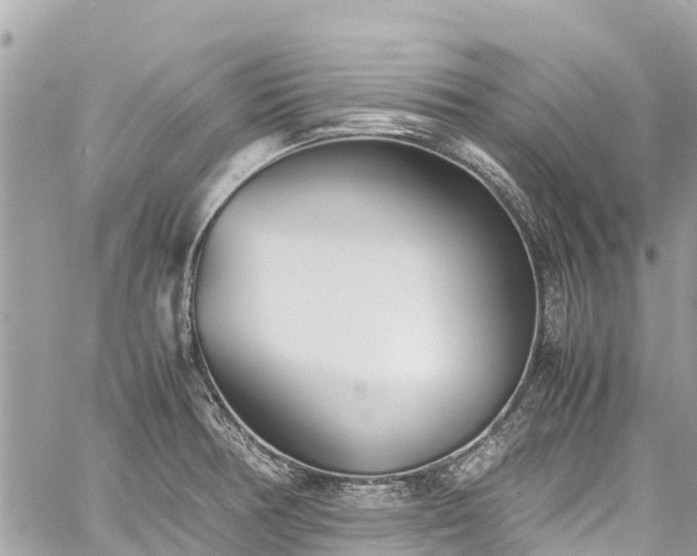 X0000059831378200510241410