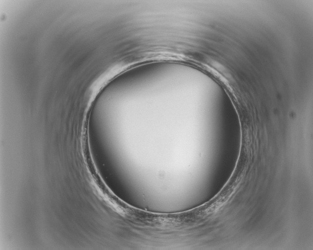 X0000059831379200510241410