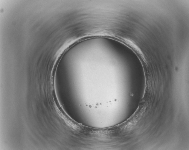 X0000059831380200510241410