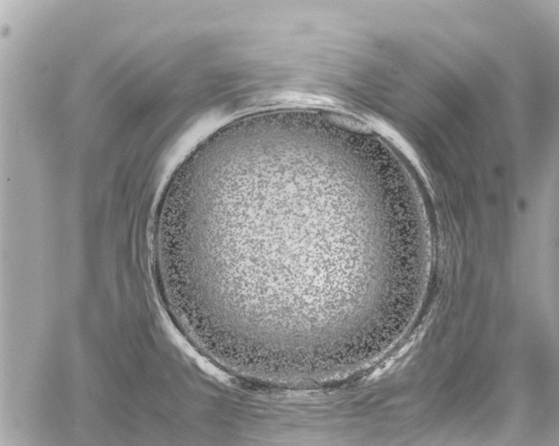 X0000059831381200510241410