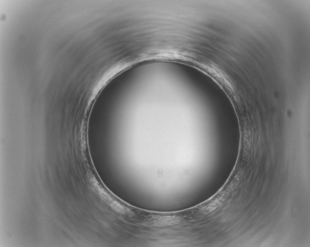 X0000059831382200510241410