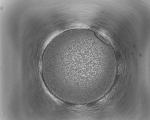 X0000059831383200510241410