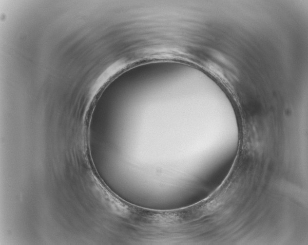 X0000059831384200510241410