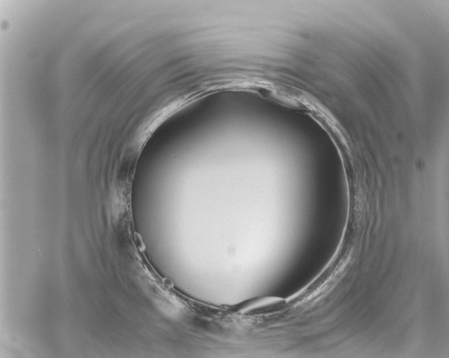 X0000059831385200510241410