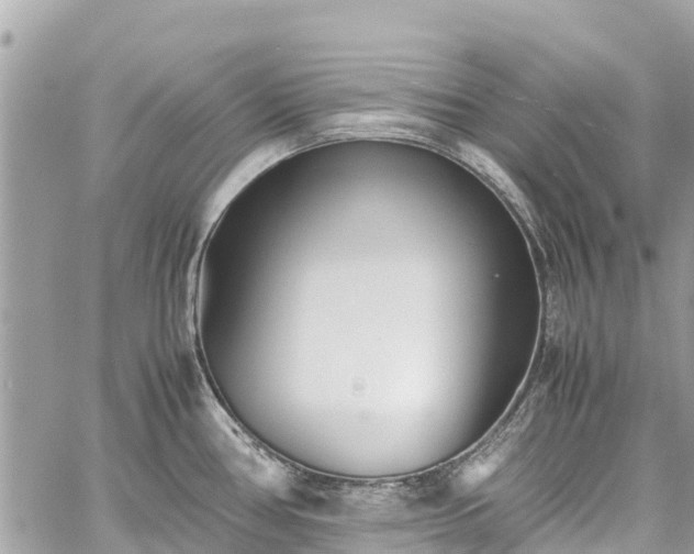 X0000059831386200510241410