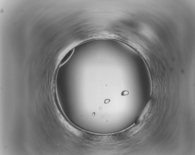 X0000059831387200510241410