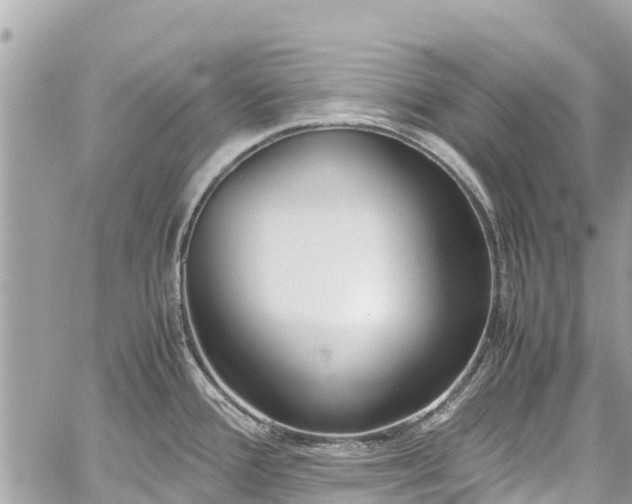 X0000059831388200510241410