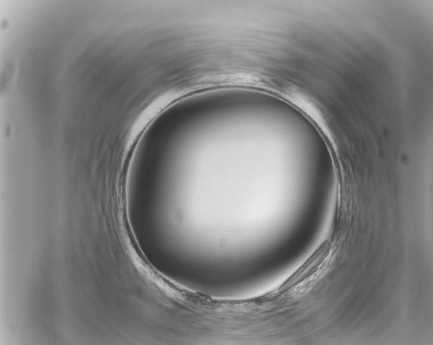 X0000059831389200510241410