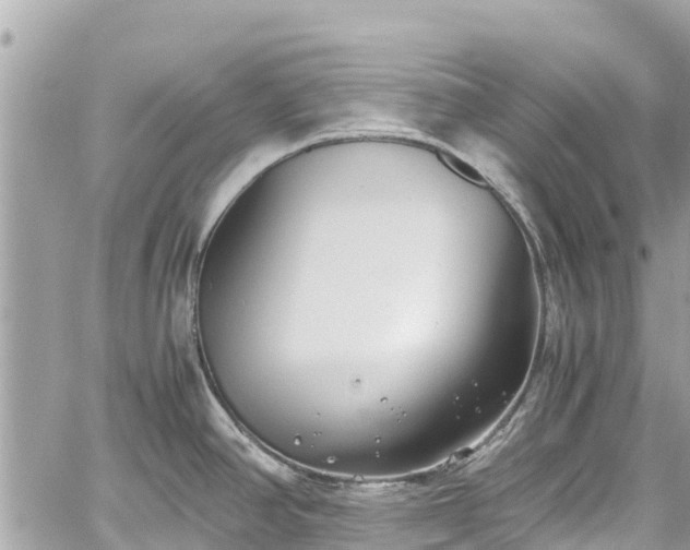 X0000059831390200510241410