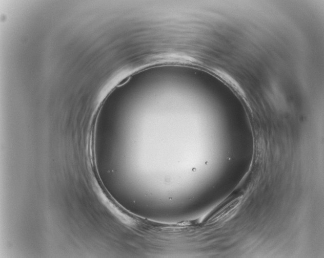 X0000059831391200510241410