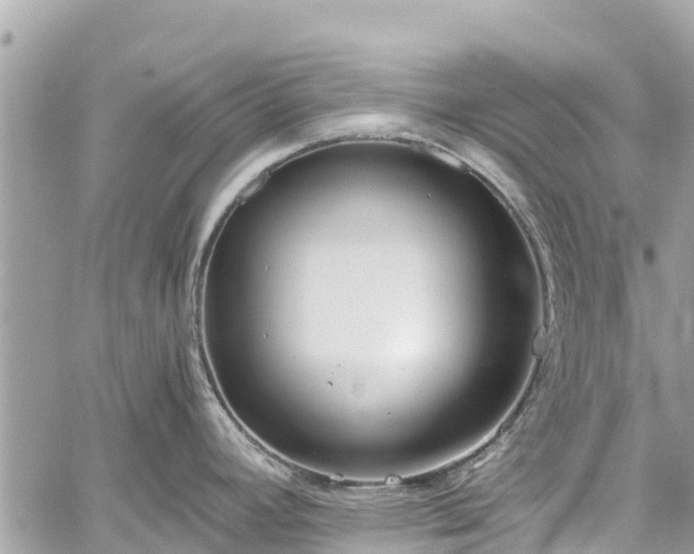 X0000059831392200510241410