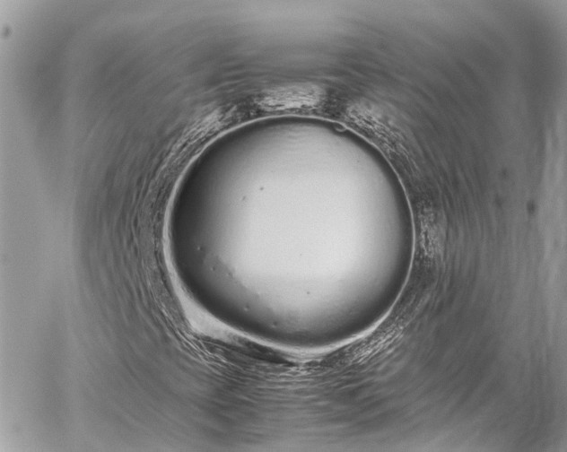 X0000059831393200510241409