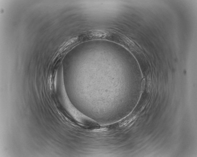 X0000059831394200510241409