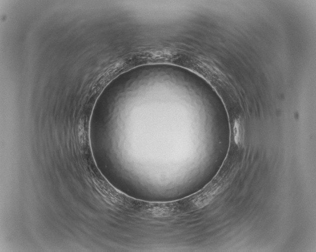 X0000059831395200510241409