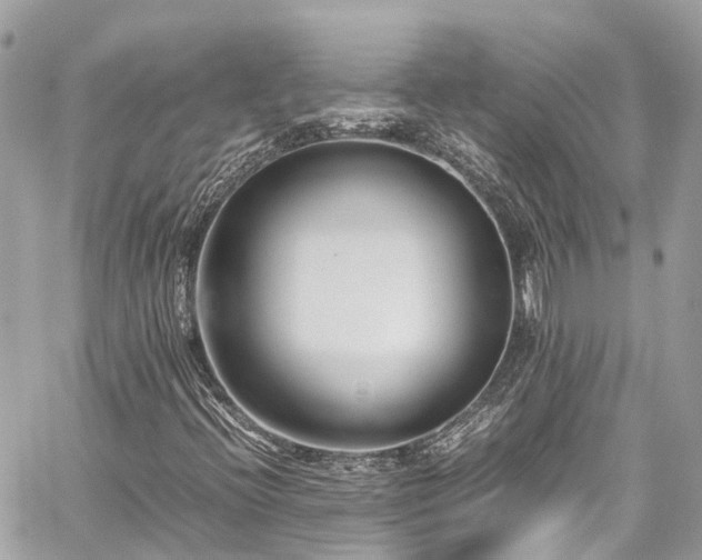 X0000059831396200510241409