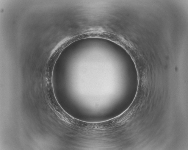 X0000059831400200510241409