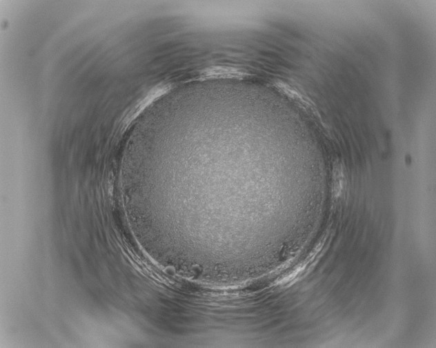 X0000059831401200510241409