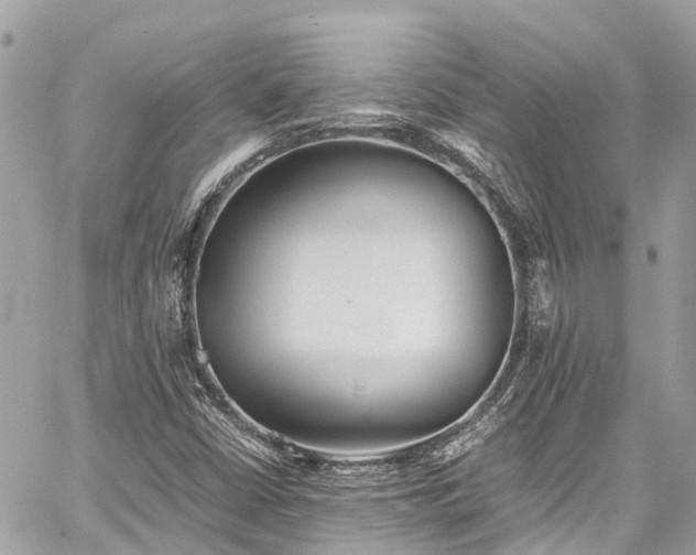 X0000059831402200510241409