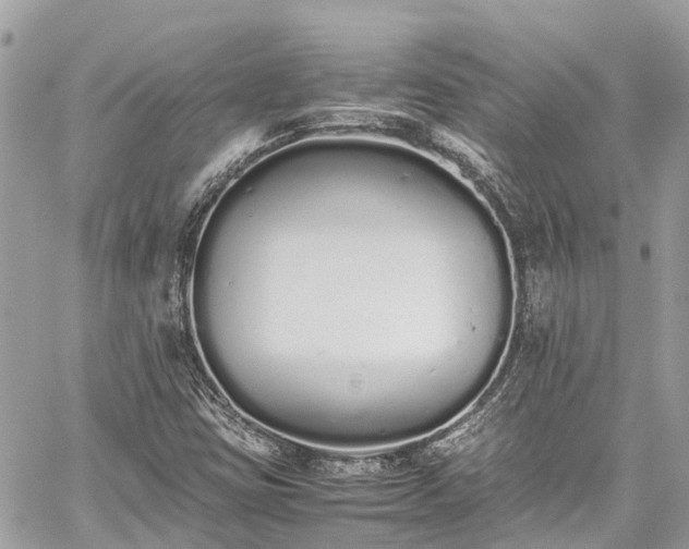 X0000059831403200510241409