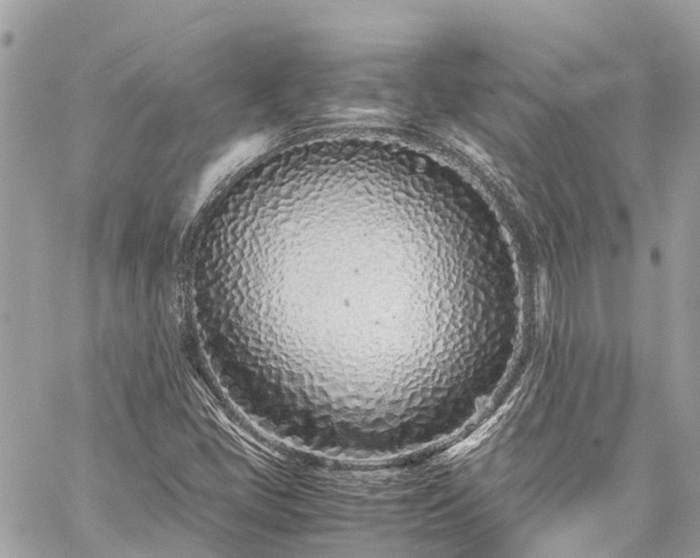 X0000059831405200510241409