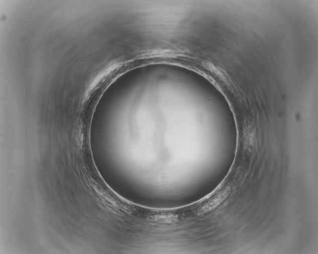 X0000059831406200510241409