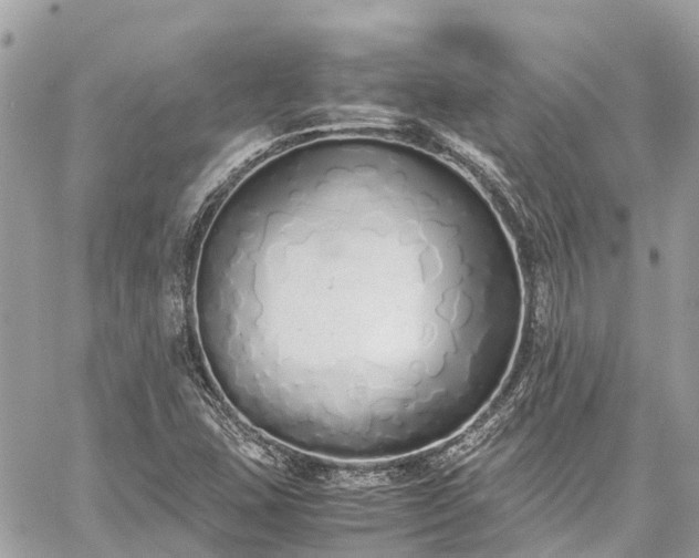 X0000059831407200510241409