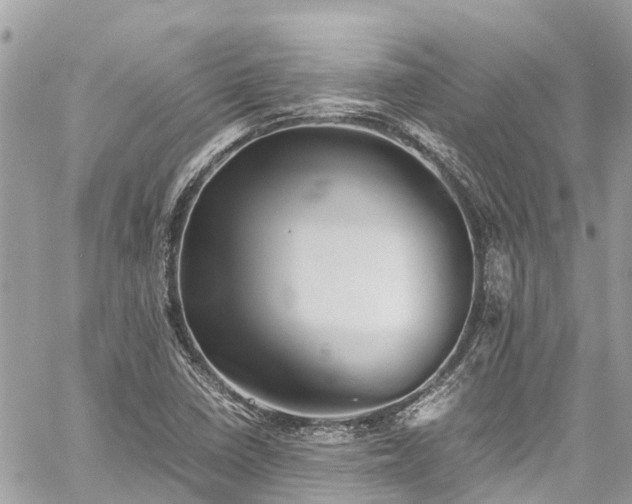 X0000059831410200510241409