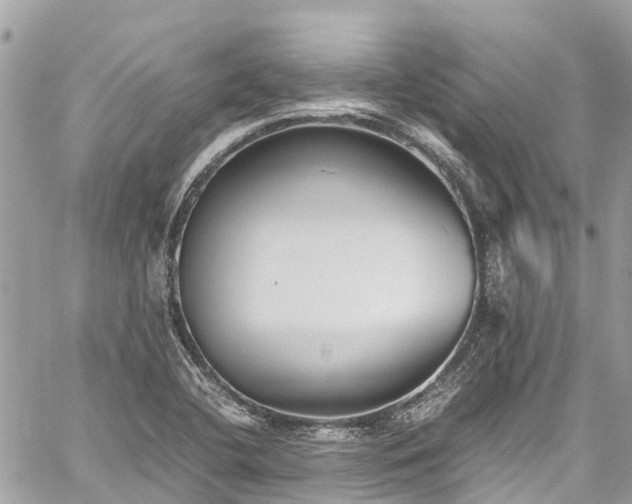 X0000059831412200510241409