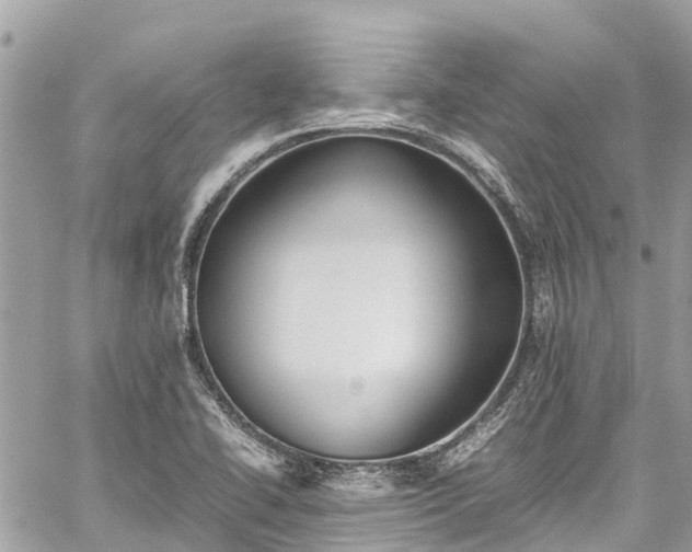 X0000059831414200510241409